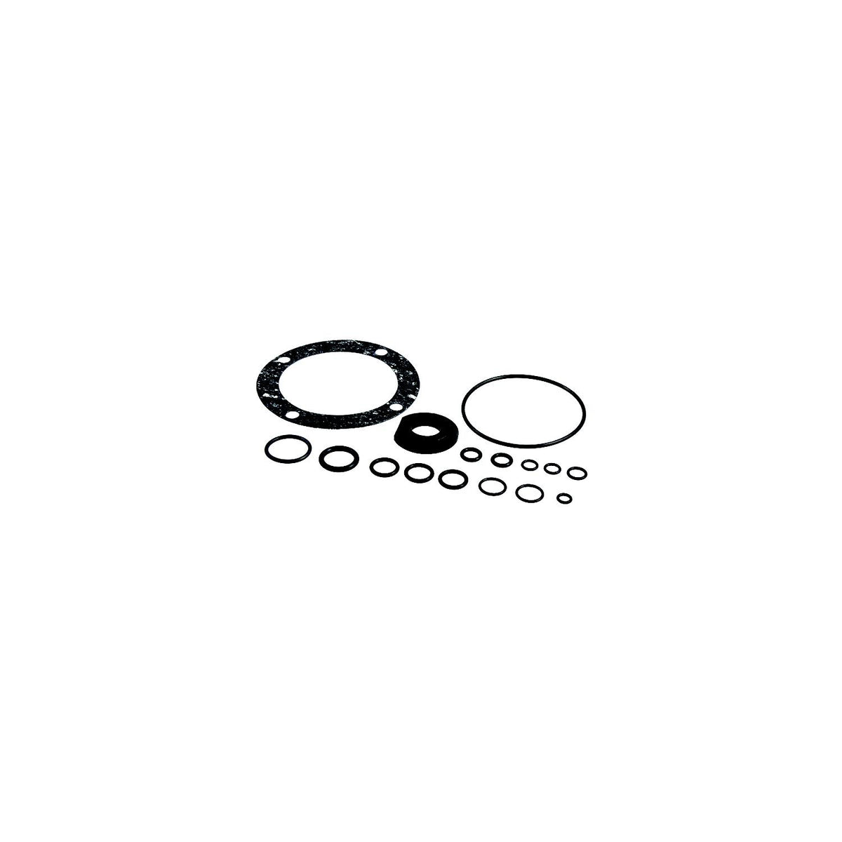SeaStar HS5161 Seal Kit | Fits Select Capilano Helm Pumps -Modern Boat Sales & Service