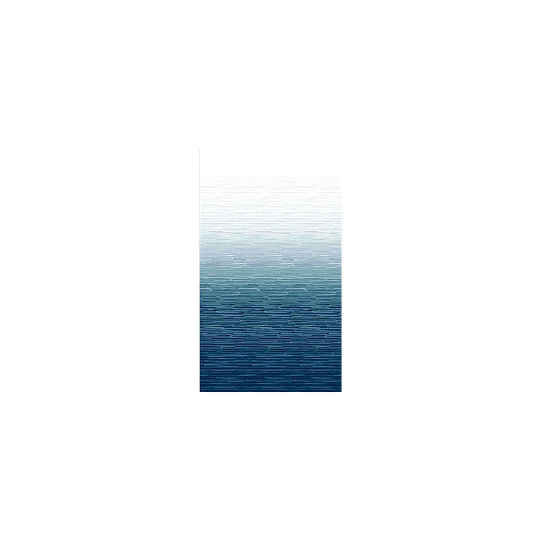 Carefree JU216C00 1-Piece Standard Vinyl Awning Replacement Fabric, 21', Blue Fade on Top Side, White Weatherguard -Modern Boat Sales & Service