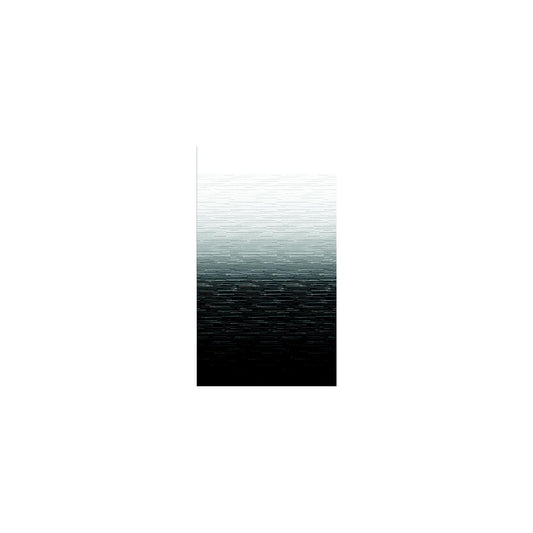 Carefree JU156E00 1-Piece Standard Vinyl Awning Replacement Fabric, 15', Black Fade on Top Side, White Weatherguard -Modern Boat Sales & Service