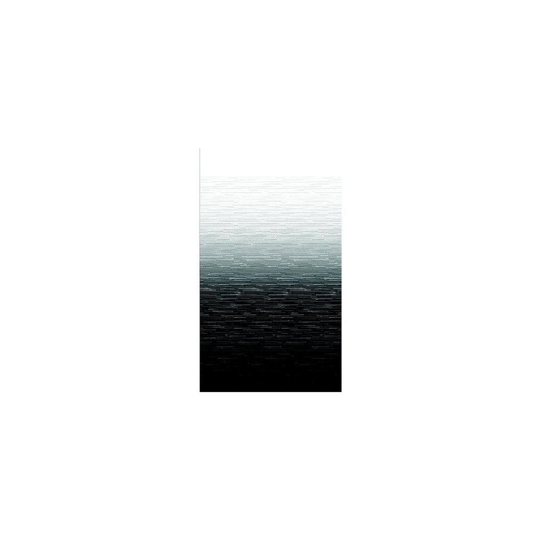 Carefree JU196E00 1-Piece Standard Vinyl Awning Replacement Fabric, 19', Black Fade on Top Side, White Weatherguard -Modern Boat Sales & Service