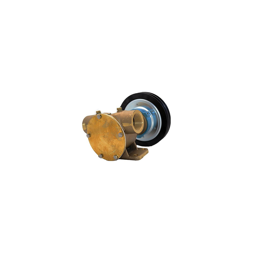 Johnson Pump F8B-5 1-1/4