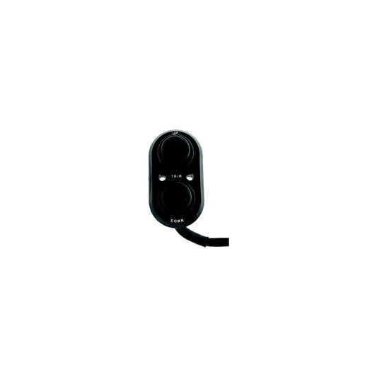 T-H Marine TTC1DP Transom Trim Control -Modern Boat Sales & Service
