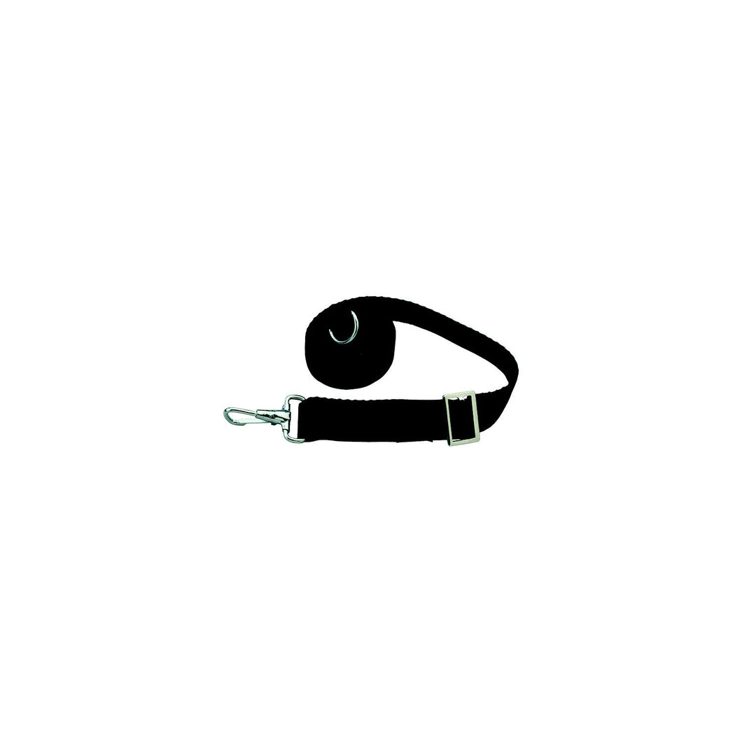 Taylor 11993 Adjustable Tie-Down Strap 6' Long With Stainless Steel Ring on One End and Snap on Other - Black, 2/pk -Modern Boat Sales & Service
