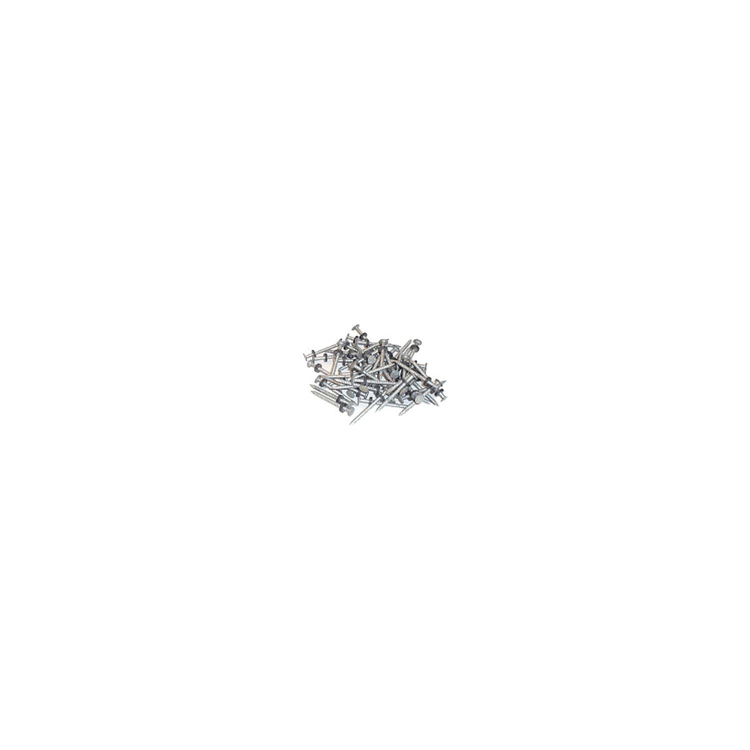 Taylor 96028 Galvanized #6 Nails w/Washers 1/8# 12/Cd -Modern Boat Sales & Service