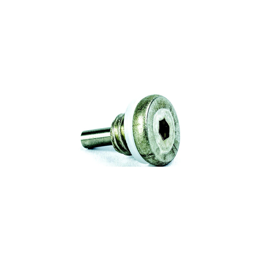 E-Tec Drain Screw W Magnet -Modern Boat Sales & Service