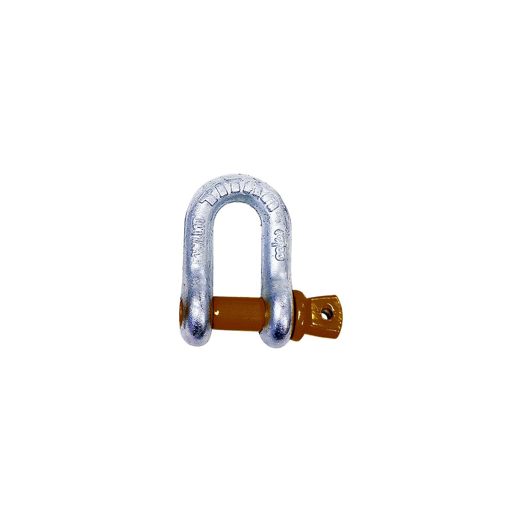 Hot Galvanized D Shackle, 1/4