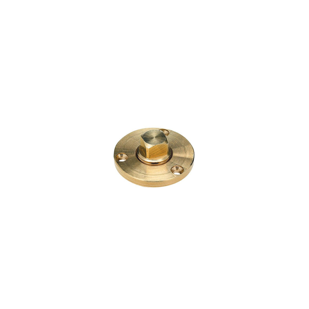 Garboard Drain Plug-1/2