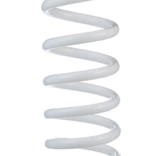Seachoice Coiled Washdown Hose w/ Sprayer and Brass Fittings, 25 Ft., White -Modern Boat Sales & Service
