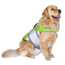 Seachoice 86285 Dog Life Jacket, Color: Green, Size: XL Default Title -Modern Boat Sales & Service