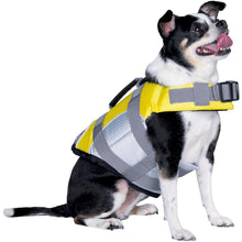 Seachoice 86261 Dog Life Jacket, Color: Pink, Size: XS -Modern Boat Sales & Service