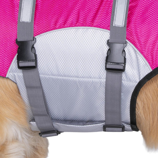 Seachoice 86294 Dog Life Jacket, Color: Yellow, Size: L -Modern Boat Sales & Service