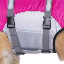 Seachoice 86295 Dog Life Jacket, Color: Yellow, Size: XL -Modern Boat Sales & Service