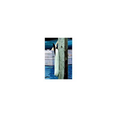 Dock Edge DE91409F Polyethylene Line Holder, 1ea, Black, 1ea -Modern Boat Sales & Service