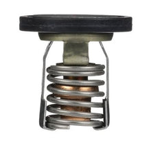 885599004 Mercury Marine Outboard Thermostat 8M0057307/255F -Modern Boat Sales & Service