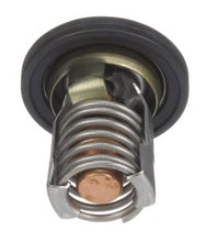 885599004 Mercury Marine Outboard Thermostat 8M0057307/255F -Modern Boat Sales & Service