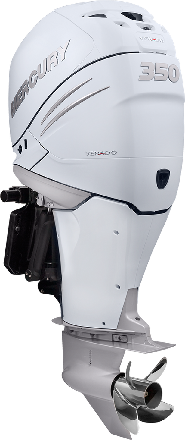 2021-19 13000007A, Mercury Marine, 300L DTS CF -Modern Boat Sales & Service