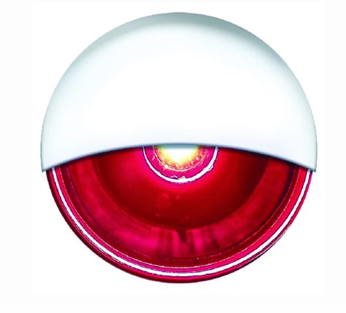 05501 Seachoice LED Mini Accent Livewell Light, Red / W1