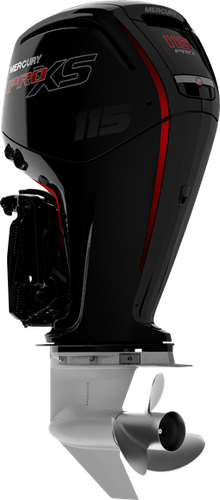 1117F531D 115L Pro XS CT 4 Stroke